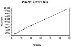 Eurofins DiscoverX PIM2 Protein, Active 25 &mu;g | Buy Online | Eurofins DiscoverX | Fisher Scientific
